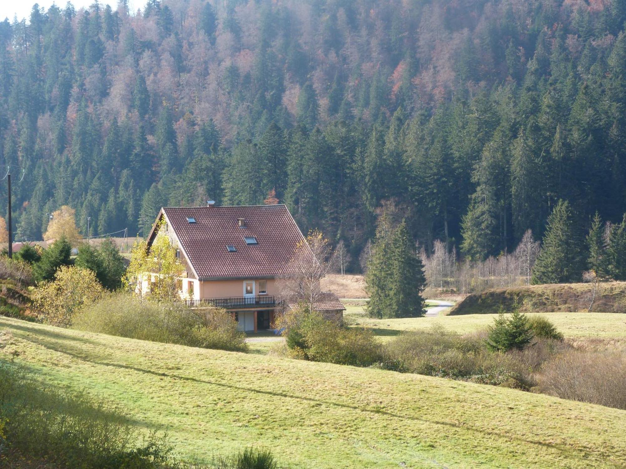 Domaine Des Hauts Viaux La Bresse Luaran gambar