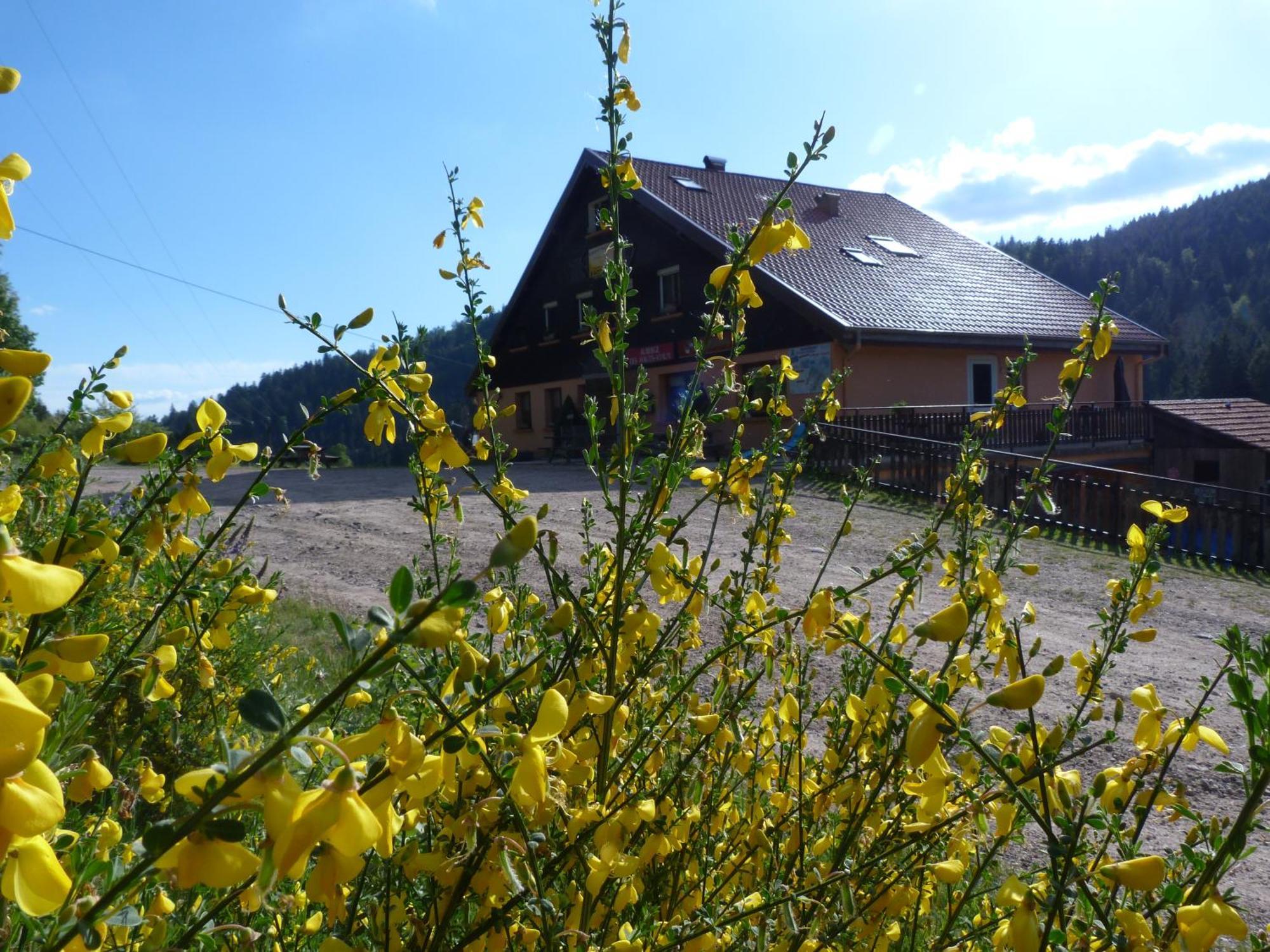 Domaine Des Hauts Viaux La Bresse Luaran gambar