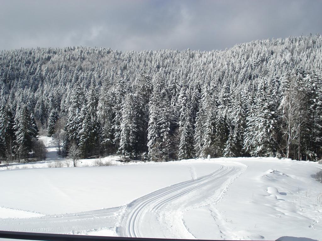 Domaine Des Hauts Viaux La Bresse Luaran gambar